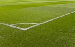 Naklejka trawa stadion piłka nożna boisko pole