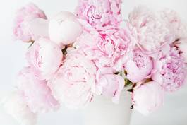 Naklejka beautiful pink peony flowers bouquet in vase
