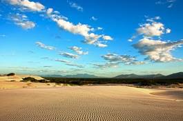 Naklejka brazylia panorama wydma pejzaż