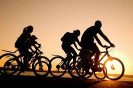 Naklejka natura sportowy lato zdrowy rower