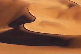 Obraz na płótnie afryka natura wydma