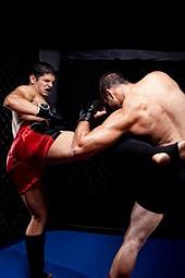 Obraz na płótnie boks sztuki walki bokser ludzie