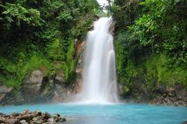 Naklejka panoramiczny dżungla kostaryka las