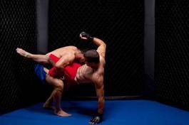 Plakat bokser mężczyzna sztuki walki sport ludzie