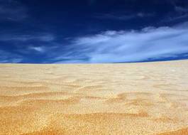 Plakat plaża australia wydma niebo