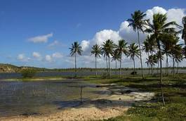 Naklejka brazylia ameryka południowa natura plaża