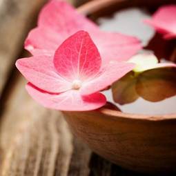 Plakat spokojny zen kwiat zdrowie