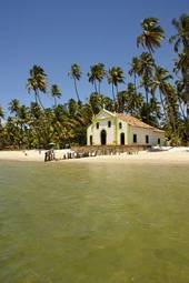 Obraz na płótnie lato plaża brazylia kokos