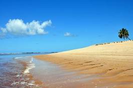Obraz na płótnie krajobraz fala plaża