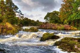 Obraz na płótnie irlandia park jesień las