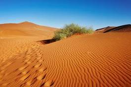 Naklejka pejzaż afryka pustynia słońce