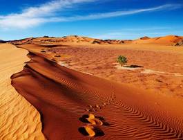 Naklejka natura wydma pejzaż pustynia