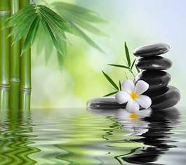 Plakat bambusy, spa kamienie i biały kwiat w wodzie