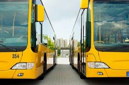 Plakat autobus park żółty