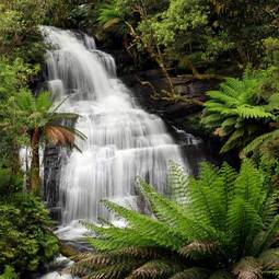 Obraz na płótnie wodospad australia las australijska