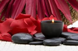 Naklejka aromaterapia zen masaż wellnes