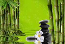 Obraz na płótnie zdrowy azjatycki rosa zen woda