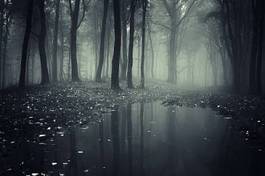 Fototapeta staw w leśnej mgle