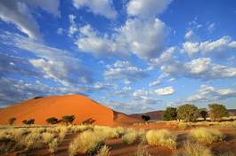 Obraz na płótnie pustynia niebo wydma afryka