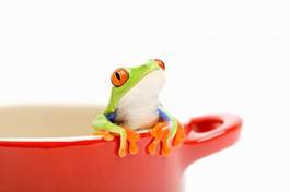 Obraz na płótnie jedzenie żaba zwierzę