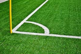 Naklejka trawa sport piłka piłka nożna boisko