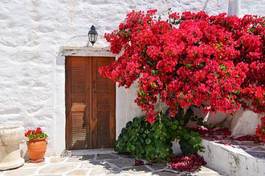 Plakat grecki ganek z czerwonymi kwiatami