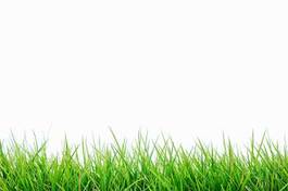 Naklejka trawa tło trawnik materiał