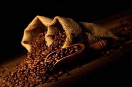 Naklejka kawa ziarno expresso napój nasienie