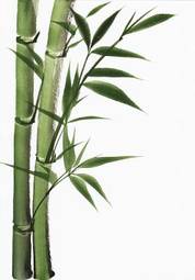 Plakat sztuka roślina zen azjatycki bambus