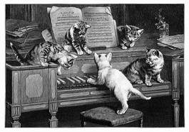 Plakat kociaki biegające po fortepianie