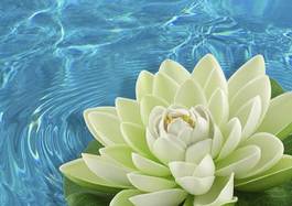 Plakat kwiat lotosu na wodzie