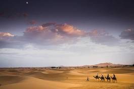 Plakat wydma pustynia afryka egipt