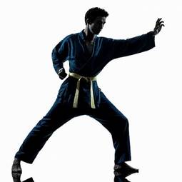 Plakat mężczyzna azjatycki sztuki walki