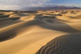 Fotoroleta bezdroża kalifornia wydma pejzaż pustynia