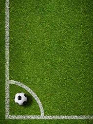 Obraz na płótnie piłka sport trawa pole