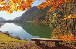 Plakat natura jesień krajobraz
