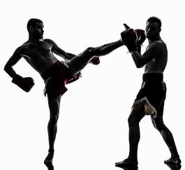 Plakat mężczyzna sztuki walki bokser