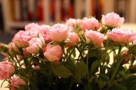 Plakat kwiat bukiet rosa natura piękny