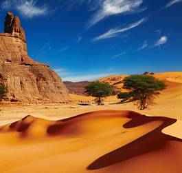 Plakat pustynia piękny pejzaż