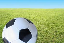 Naklejka trawa piłka nożna witalność piłka widok