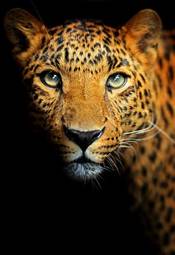 Plakat zwierzę jaguar drzewa
