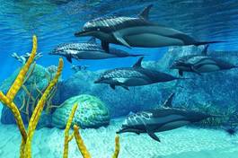 Plakat podwodne tropikalny woda ssak zwierzę morskie