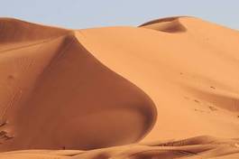 Obraz na płótnie krajobraz zwierzę wydma