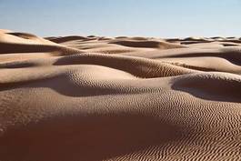Plakat natura pustynia wydma