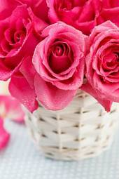 Plakat miłość rosa kwiat