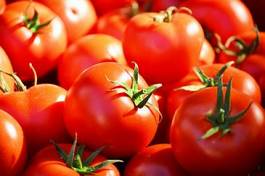 Plakat jedzenie warzywo pomidor świeży ulica