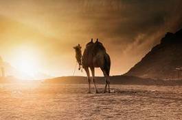 Plakat krajobraz pejzaż egipt góra pustynia