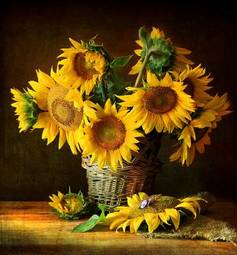 Plakat kwiat roślina słońce lato