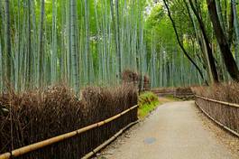 Naklejka świątynia roślinność japonia orientalne natura