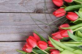 Plakat tulipan trawa piękny bukiet pąk